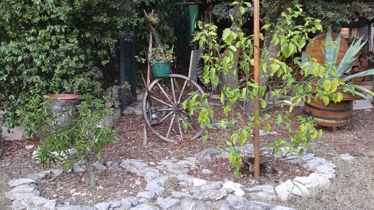 Photo of Outdoor in Aubais