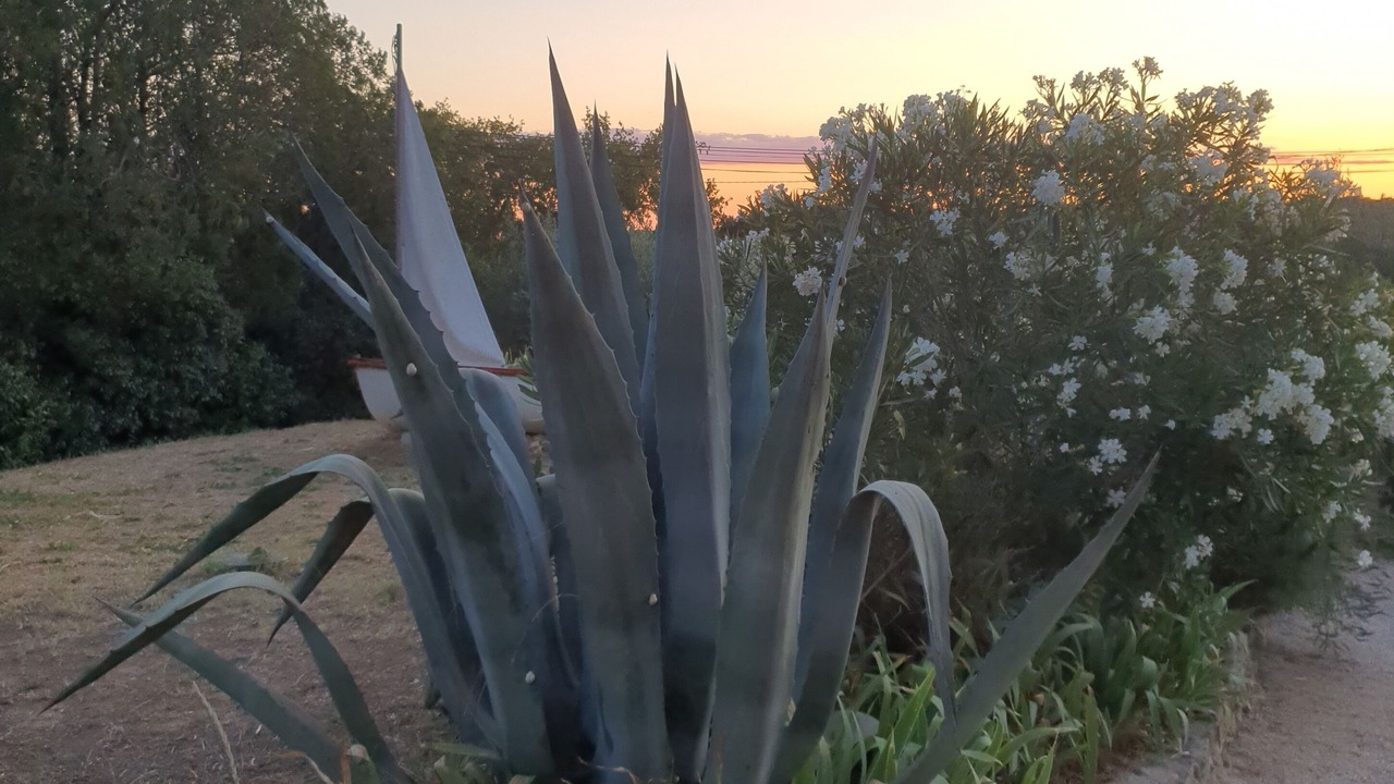 Photo of Outdoor in Aubais