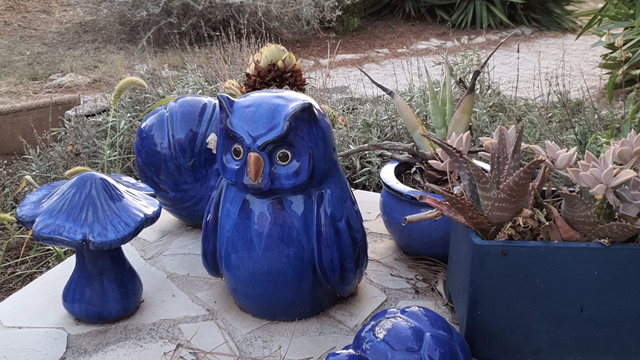 Photo of Outdoor in Aubais