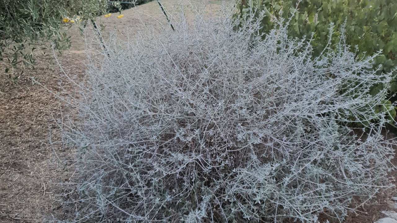 Photo of Outdoor in Aubais