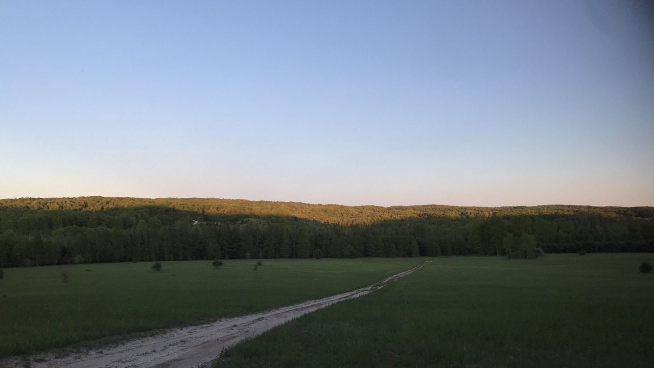 Photo of Others in Boyne Falls