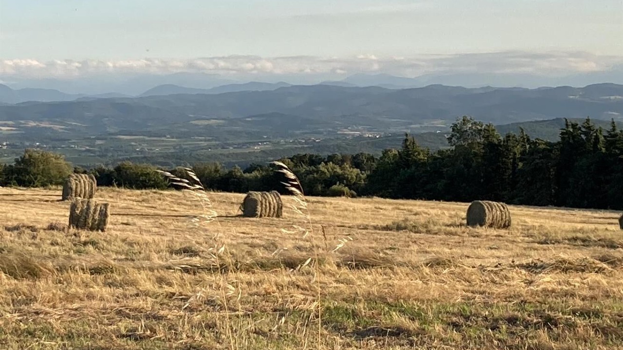 Photo of Outdoor in Villarzel-du-Razes