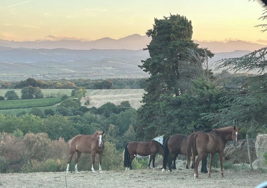 Photo of Others in Villarzel-du-Razes