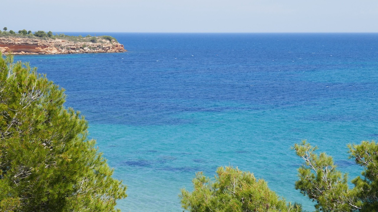 Photo of Others in Cap Roig