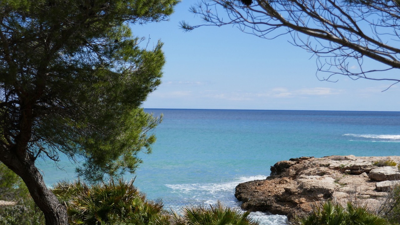 Photo of Others in Cap Roig