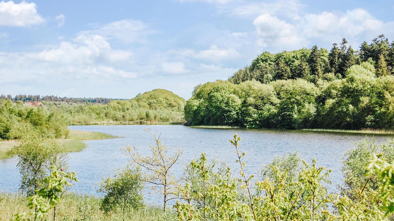 Photo of Others in Krejbjerg