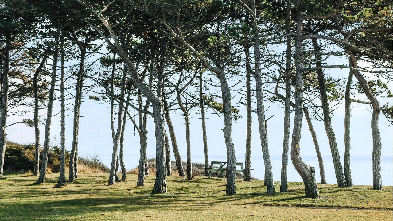 Photo of Others in Knebel