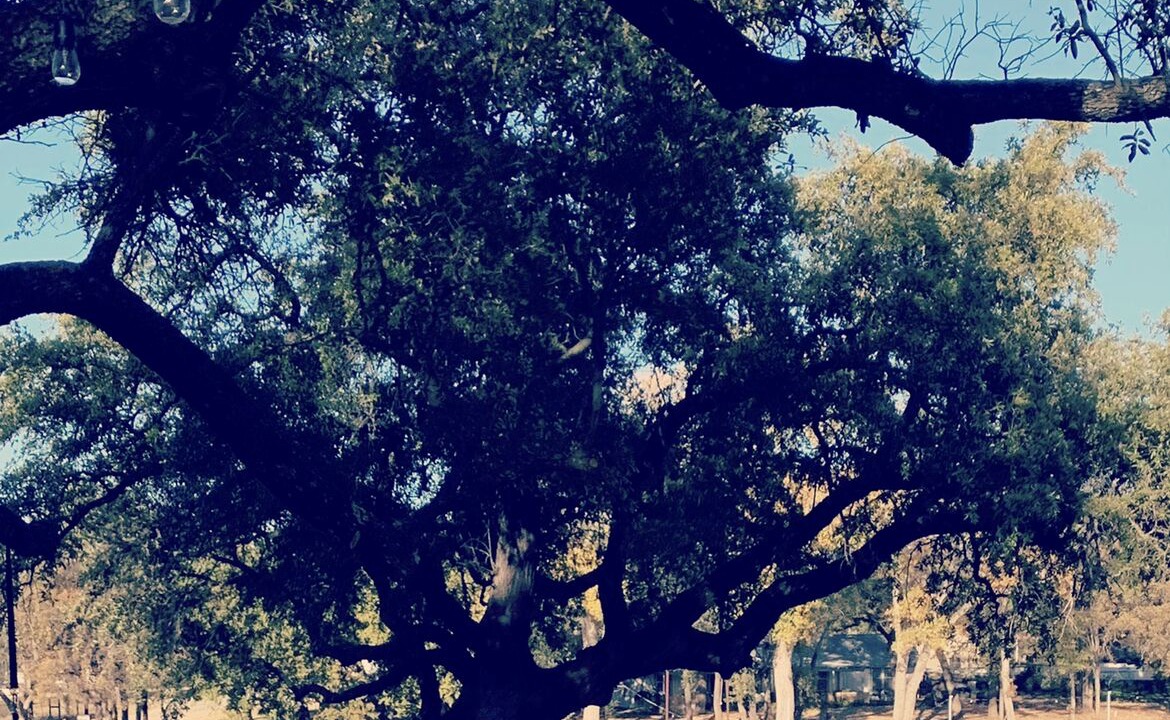 Photo of Outdoor in Brownwood