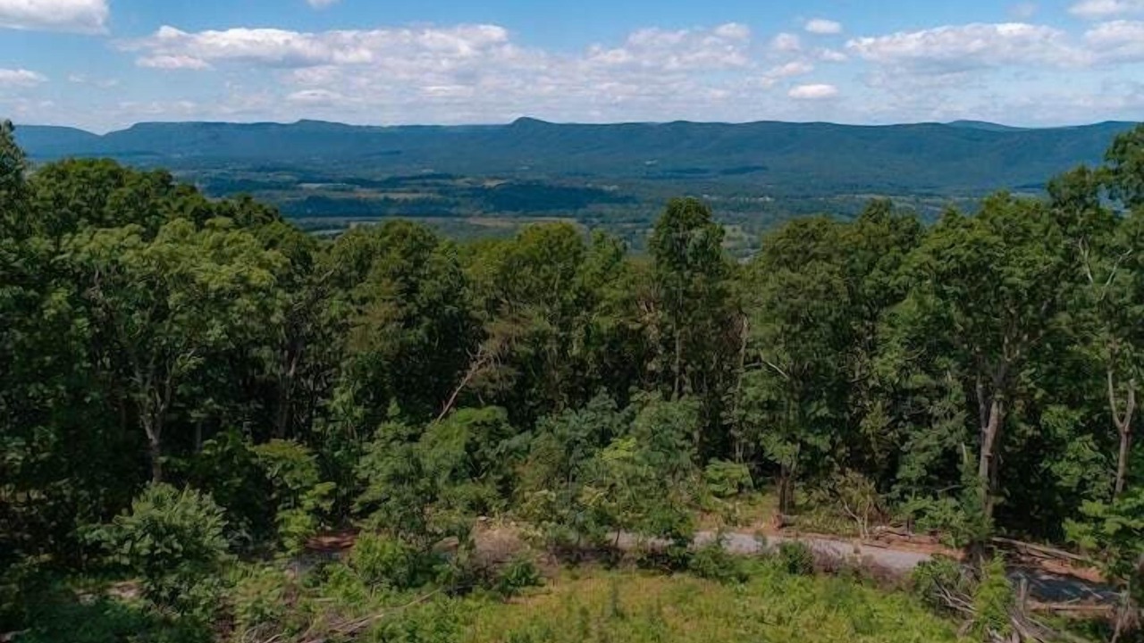 Photo of Others in Rileyville