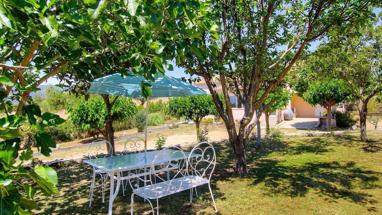 Photo of Outdoor in Sollacaro