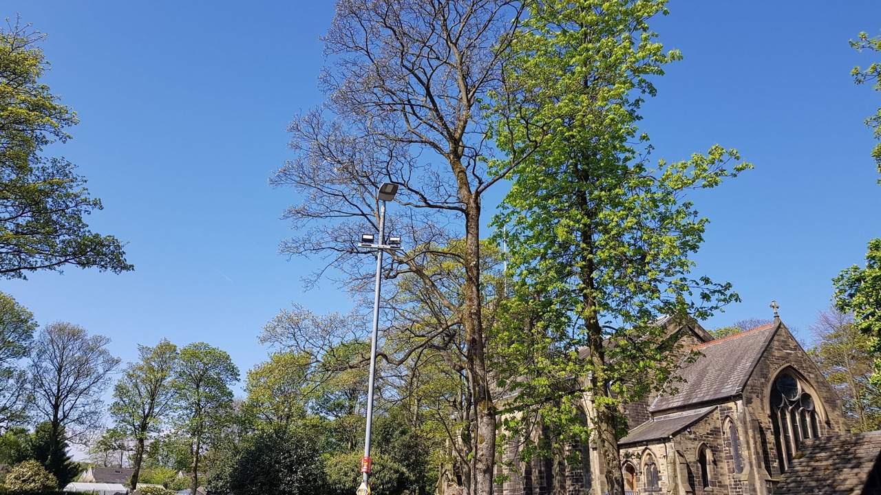 Photo of Others in Ainley Top