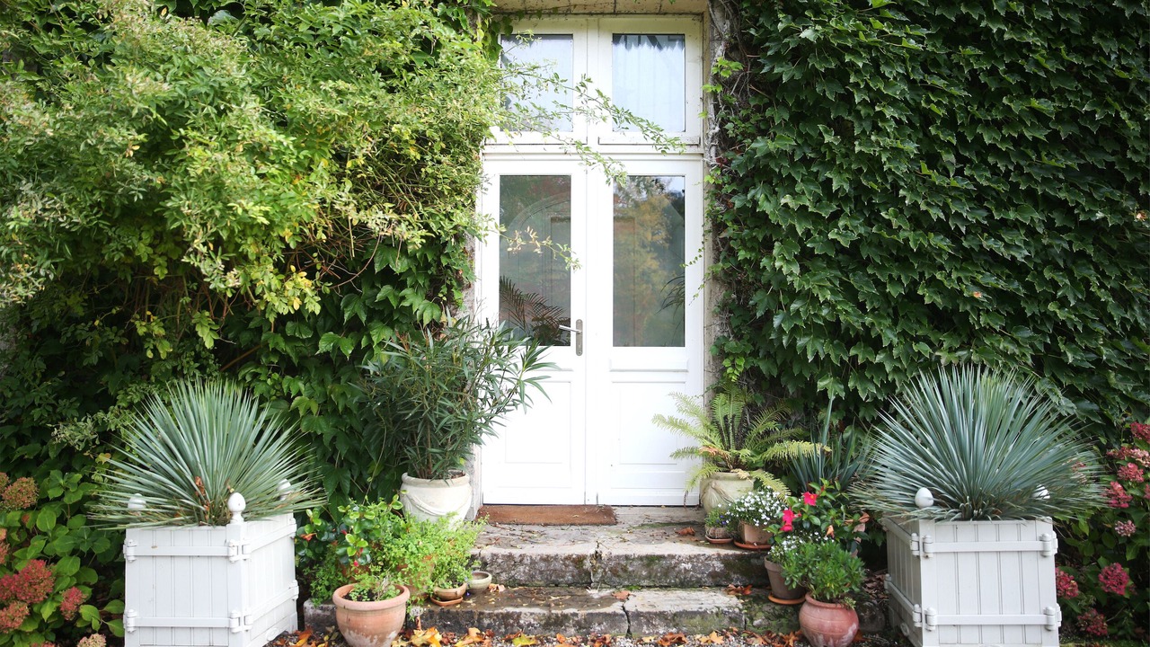 Photo of Outdoor in Maisnieres