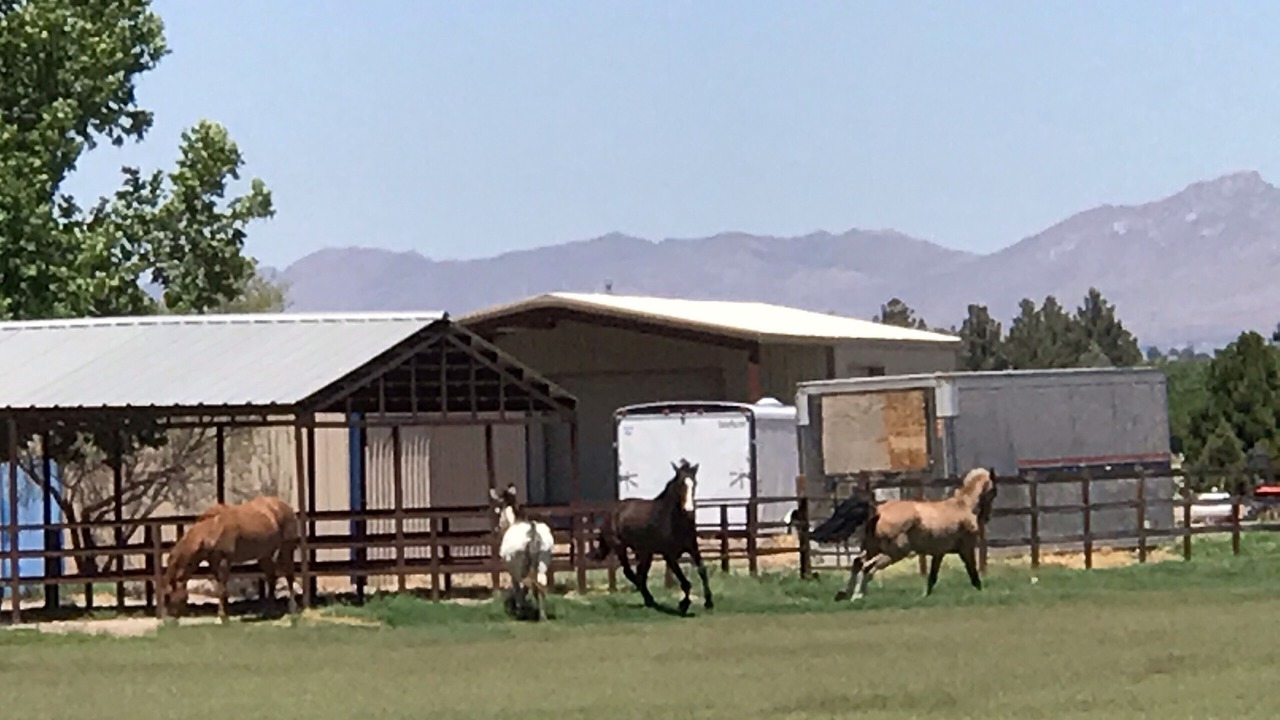 Photo of Outdoor in Las Cruces