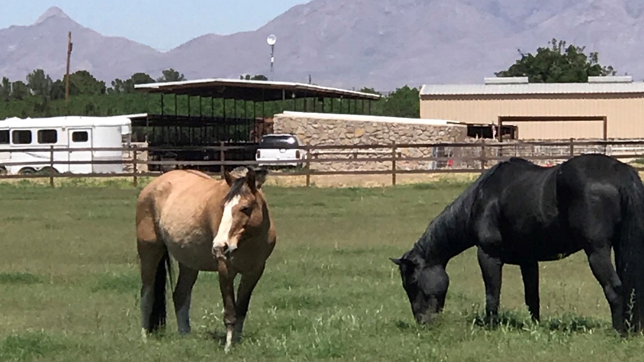 Photo of Others in Las Cruces