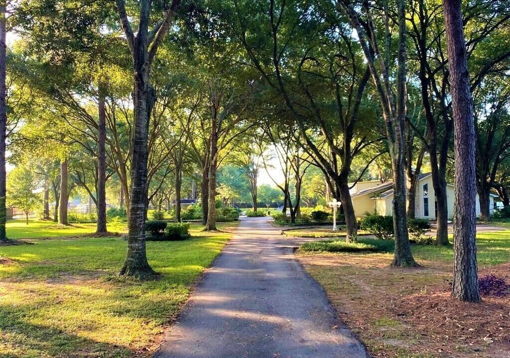Photo of Outdoor in Tomball