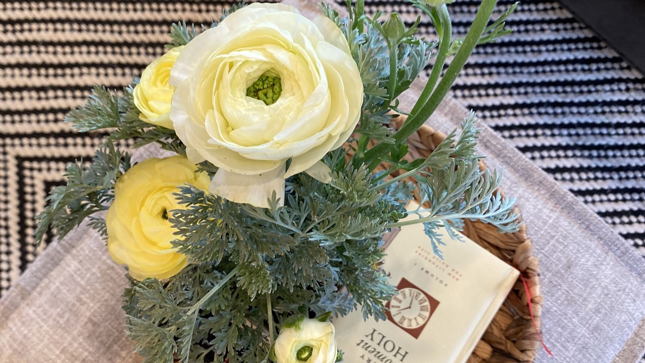 Photo of Others in Ochlocknee