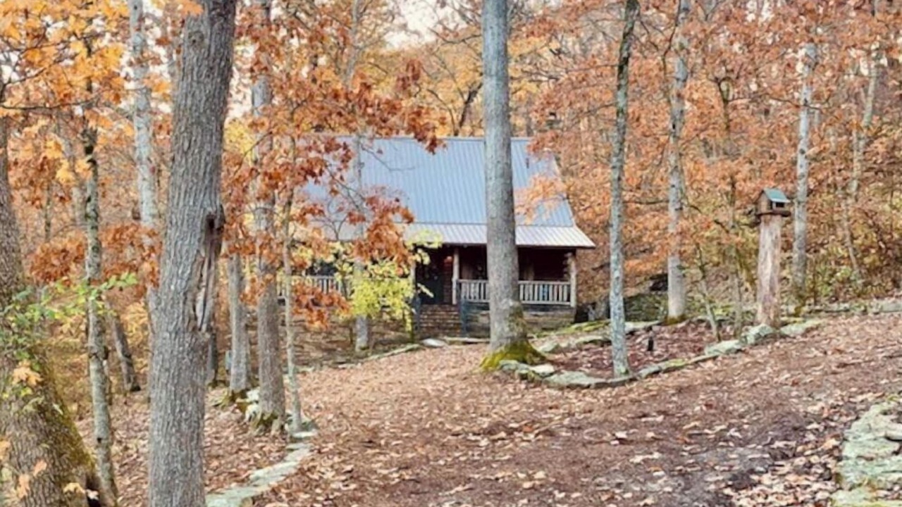 Photo of Others in Garfield