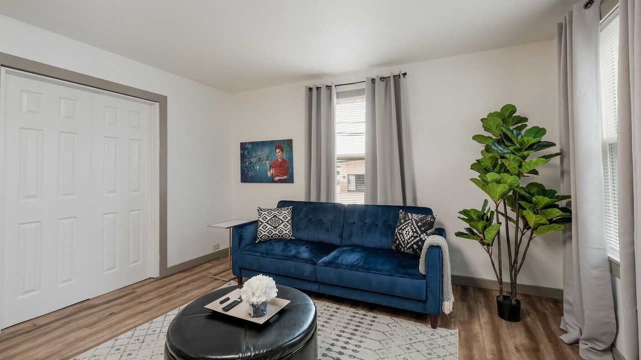 Photo of Livingroom in Olmos Park