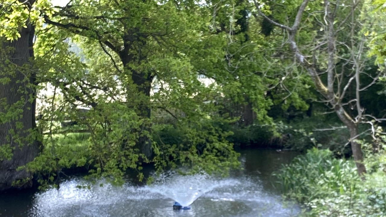 Photo of Others in Ewhurst Green