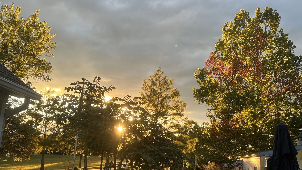 Photo of Outdoor in Goreville