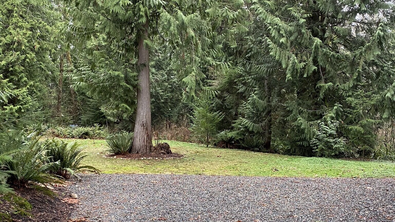 Photo of Others in Bellingham