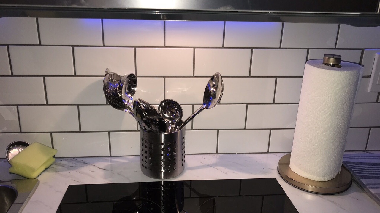 Photo of Kitchen in Tampa