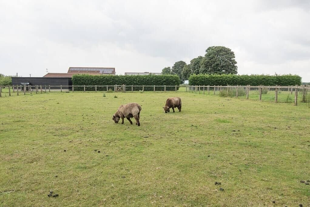 Photo of Outdoor in Woodbridge