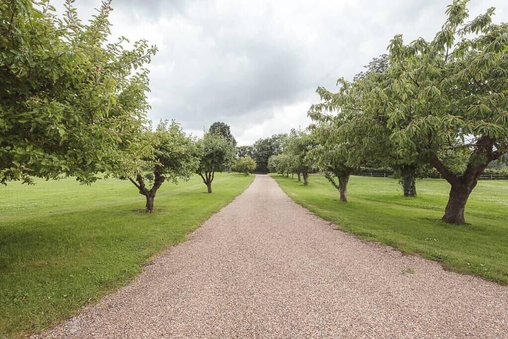 Photo of Others in Woodbridge