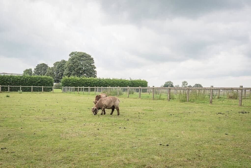 Photo of Others in Woodbridge