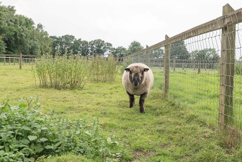 Photo of Outdoor in Woodbridge