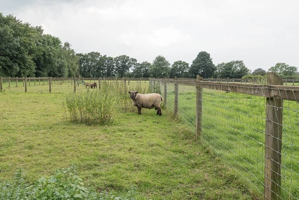 Photo of Outdoor in Woodbridge