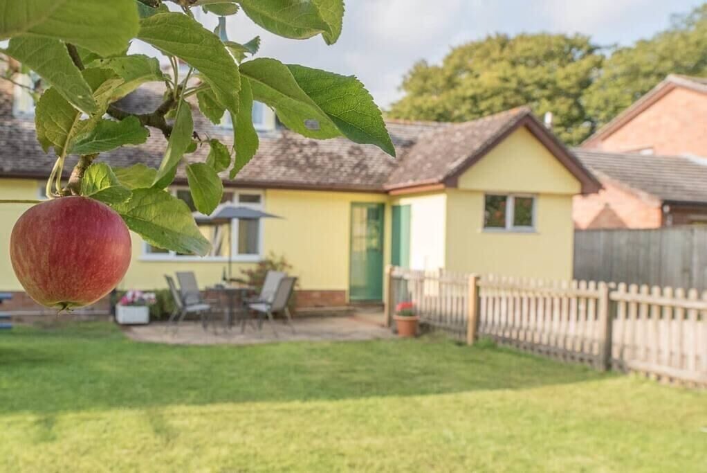 Photo of Outdoor in Woodbridge