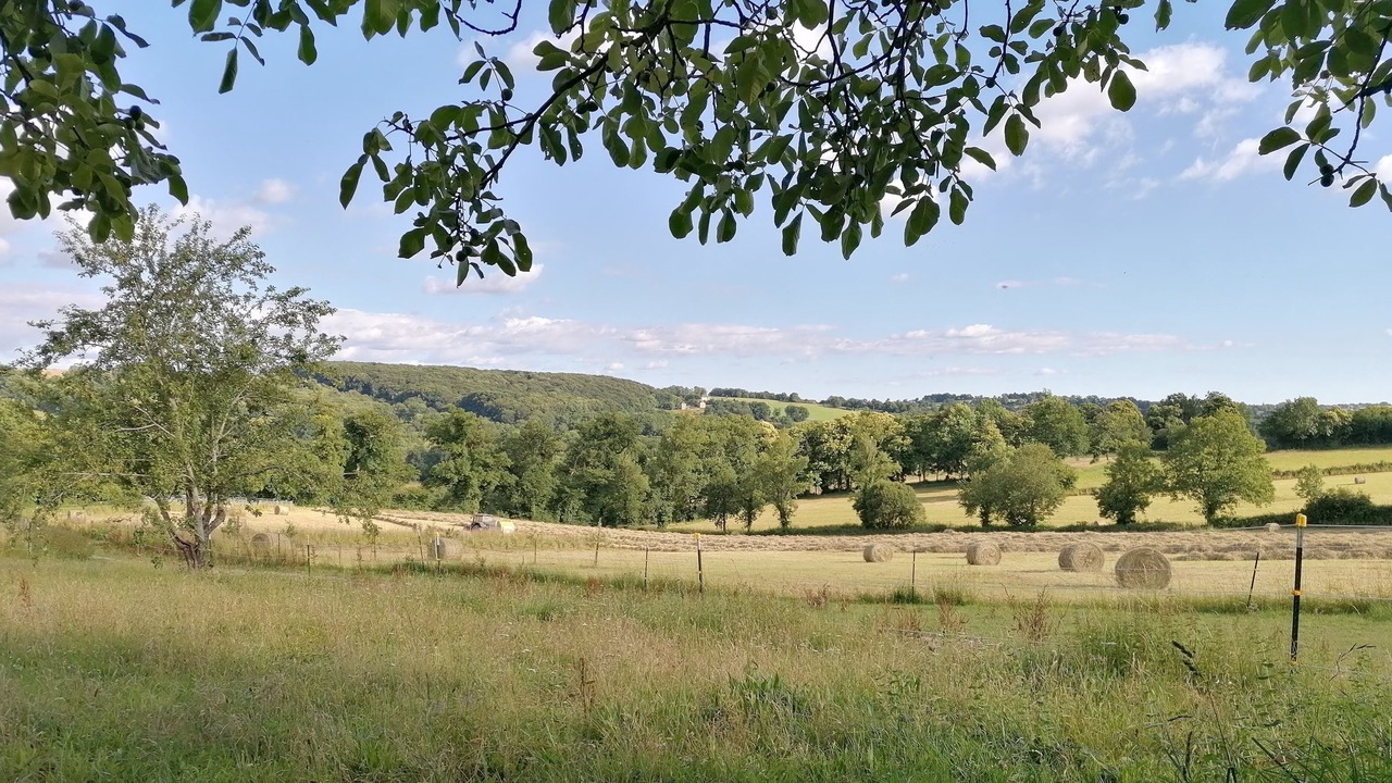 Photo of Outdoor in Vabre-Tizac