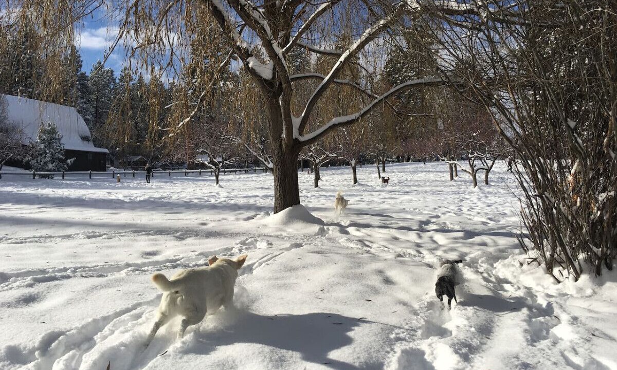 Photo of Others in Orchard District