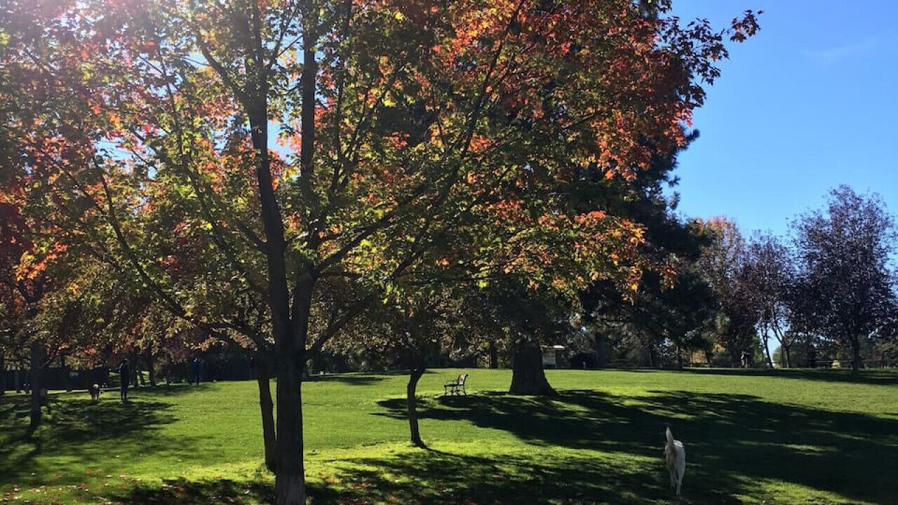 Photo of Others in Orchard District