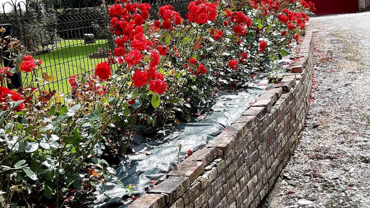 Photo of Outdoor in Villers-sous-Foucarmont