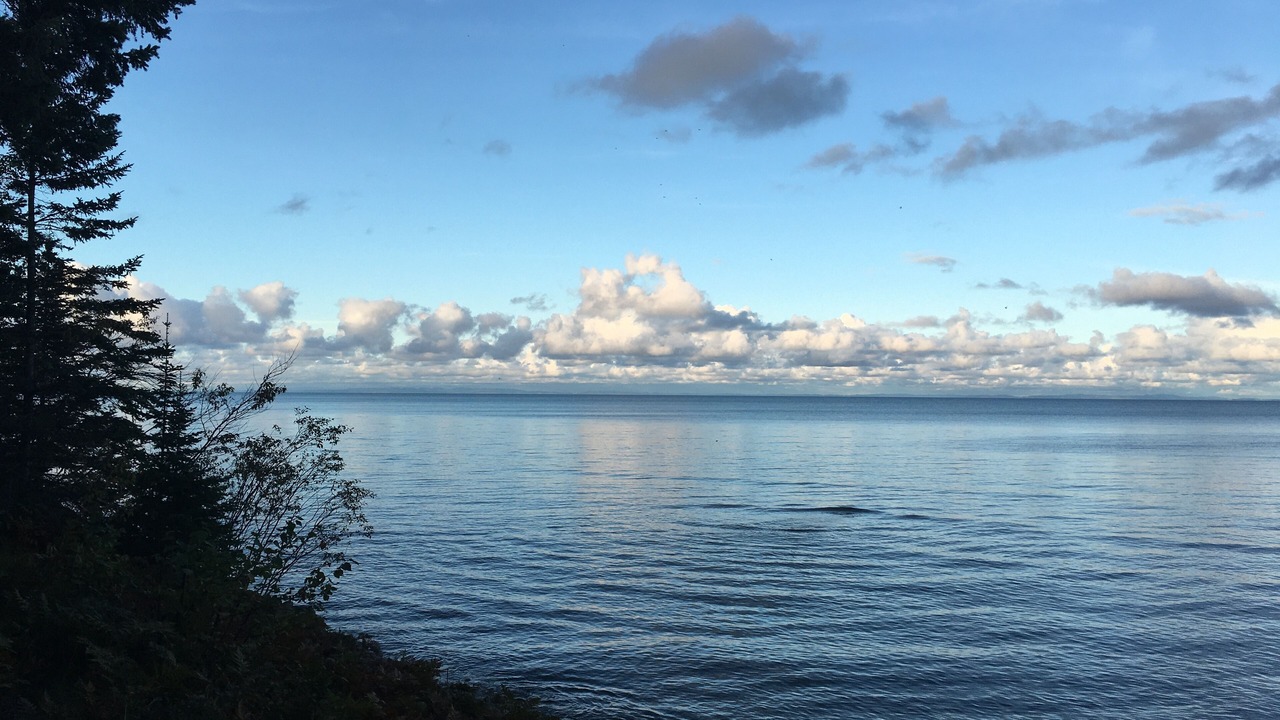 Photo of Others in Paradise