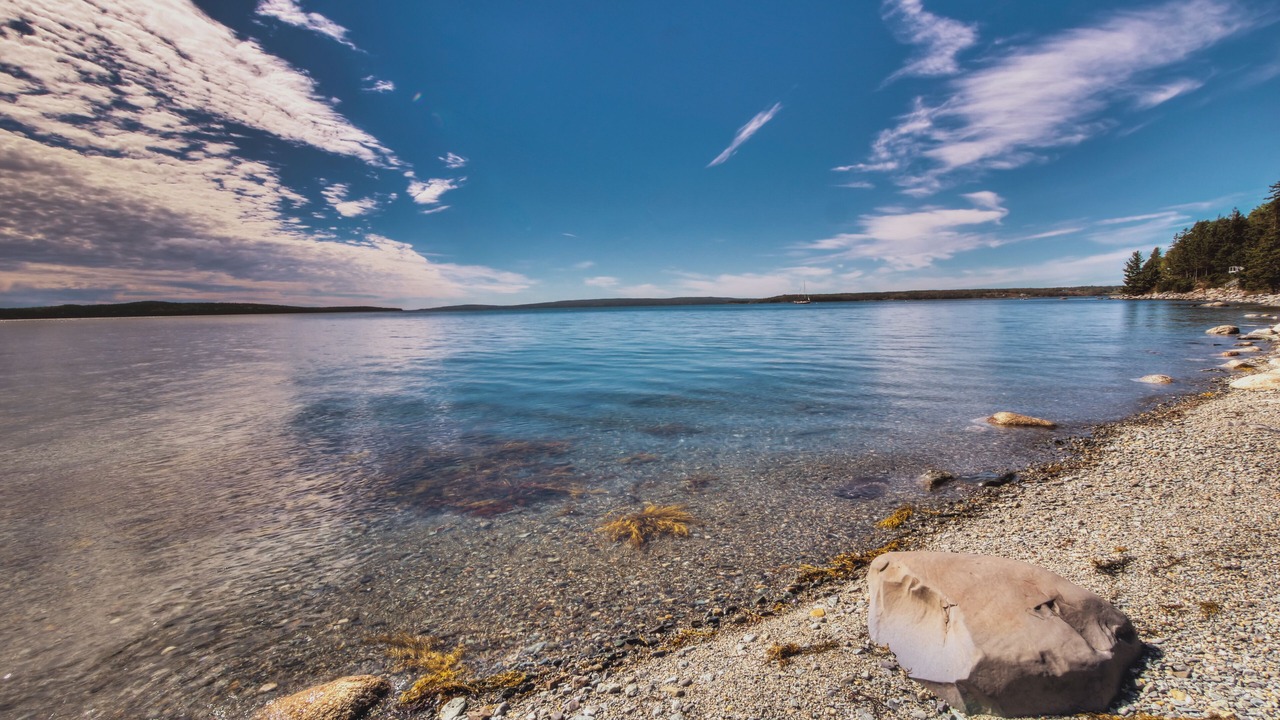 Photo of Others in Trenton