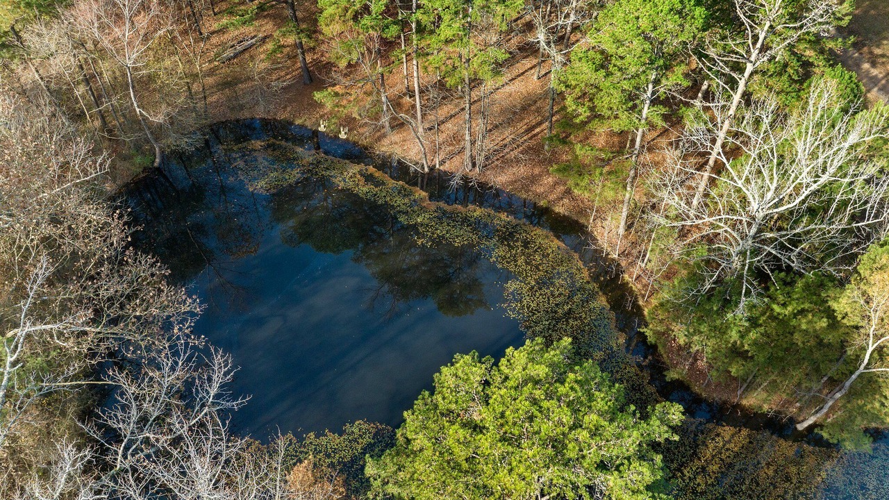 Photo of Others in Broken Bow
