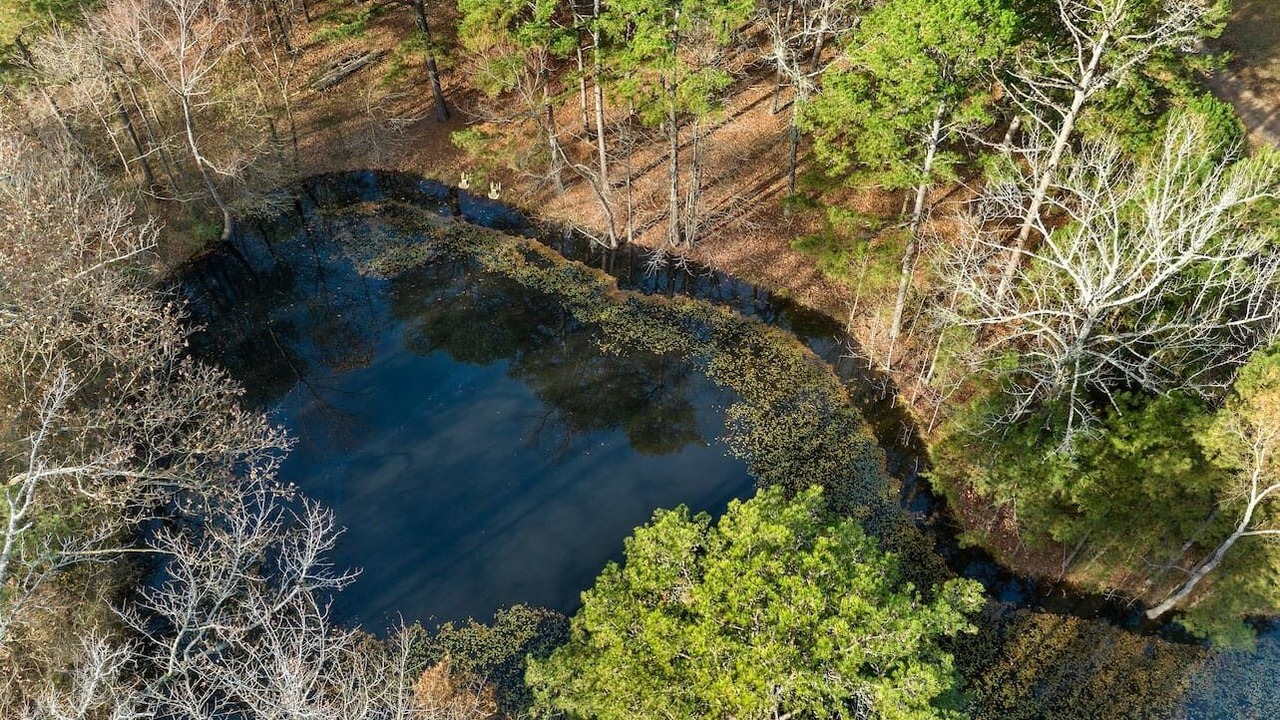 Photo of Others in Broken Bow