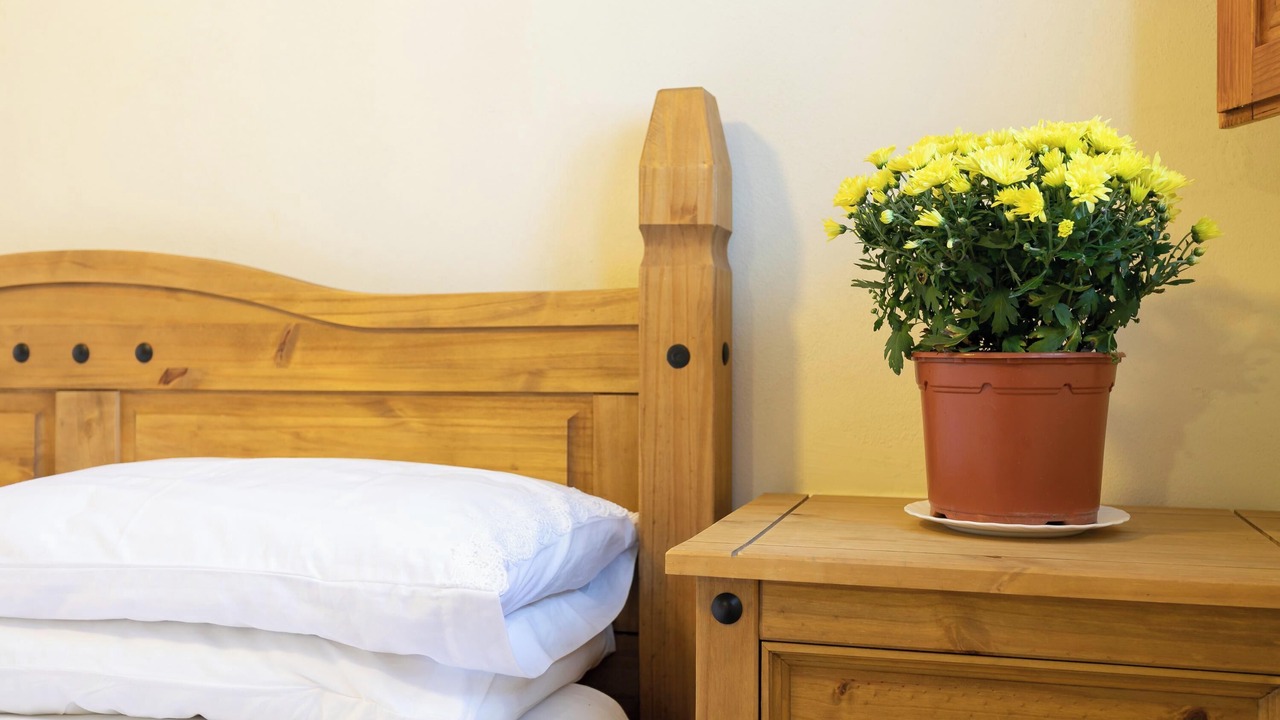Photo of Bedroom in Villena