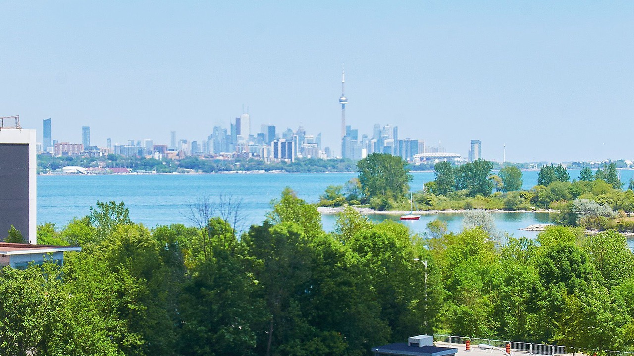 Photo of Others in Humber Bay Shores