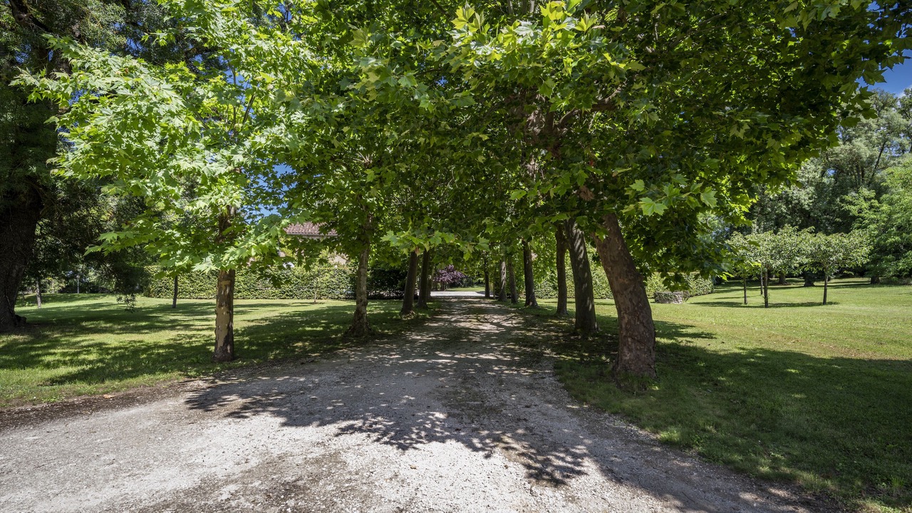 Photo of Outdoor in Montreal