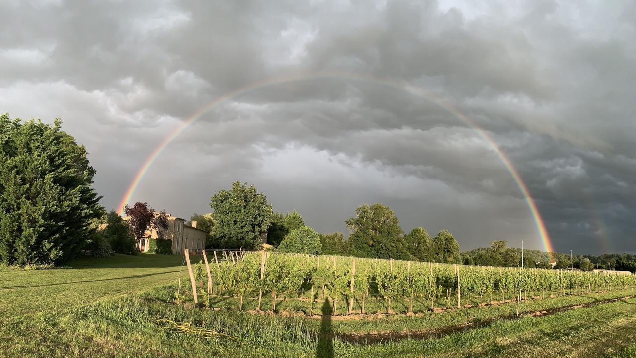 Photo of Outdoor in Flaujagues
