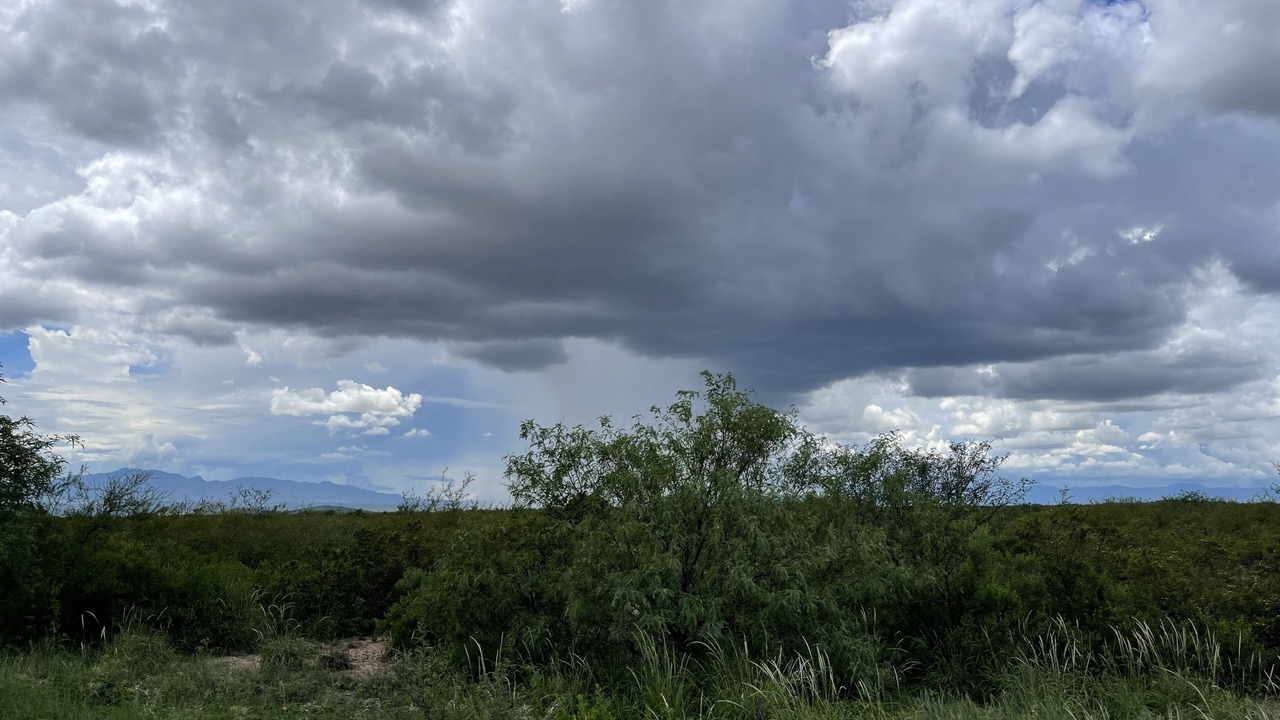 Photo of Others in Sonoita