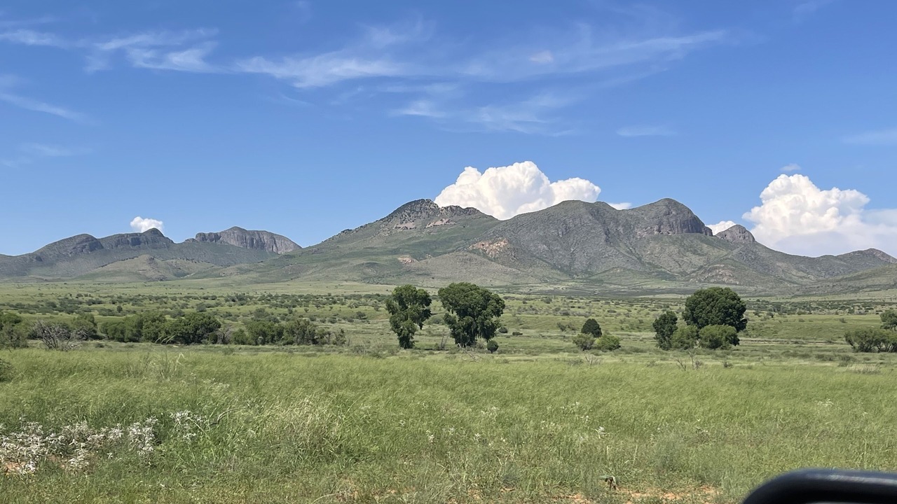 Photo of Others in Sonoita