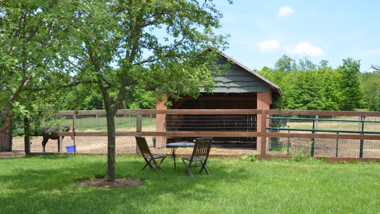 Photo of Outdoor in Caroline