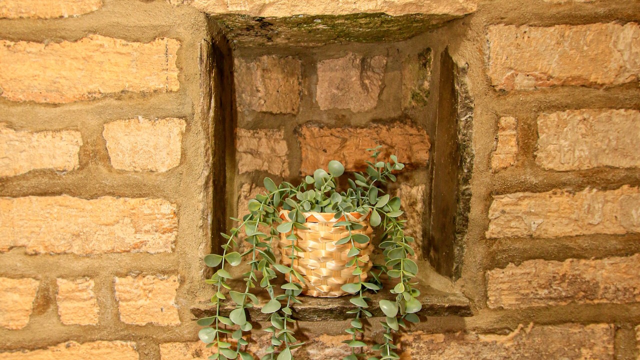 Photo of Outdoor in Tadcaster