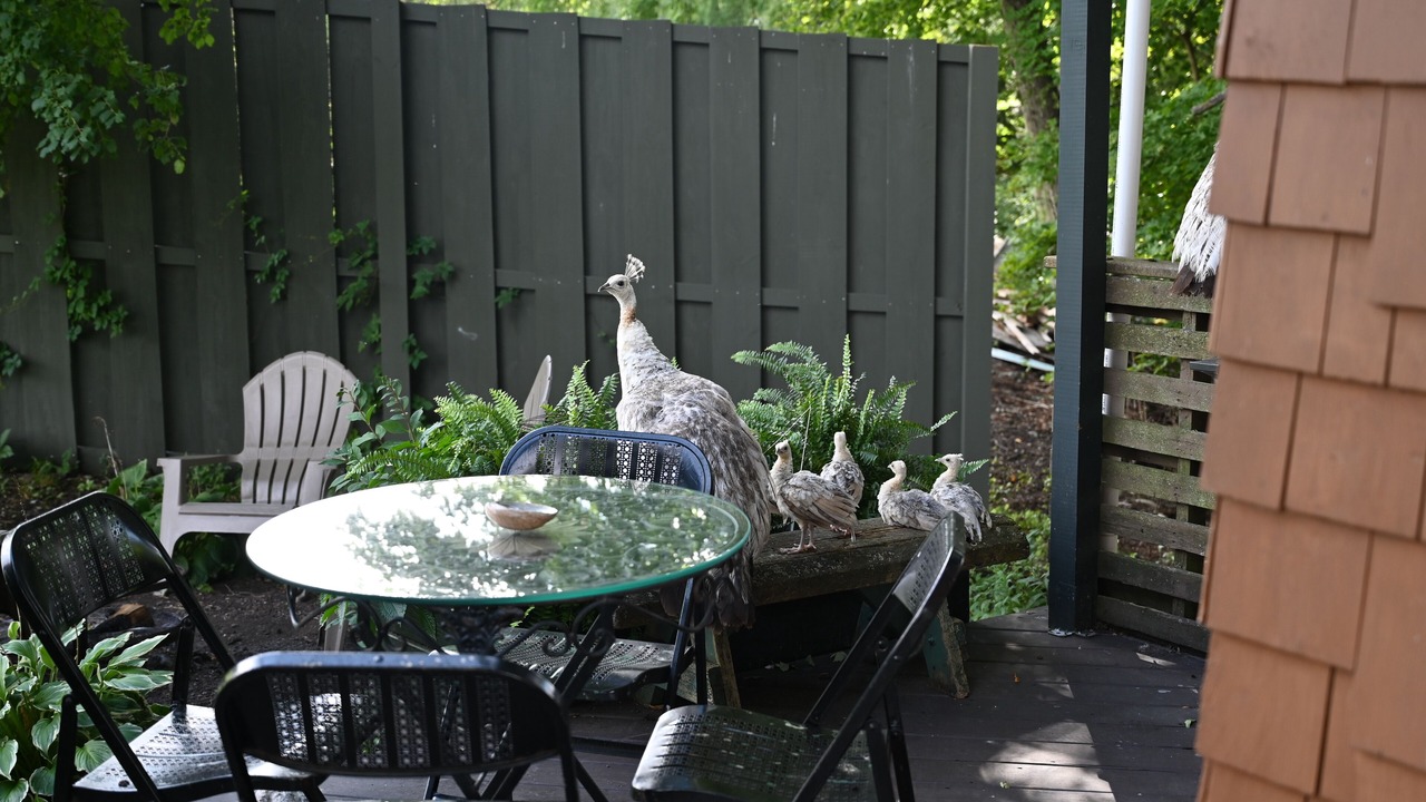 Photo of Outdoor in Caroline