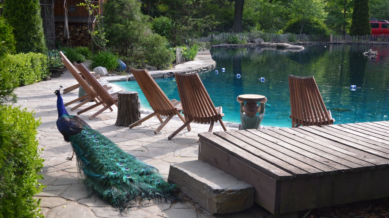 Photo of Outdoor in Caroline